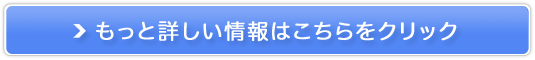 �G�X�e�e�B�b�N�T�����y����O���e�B�A�z�̔��T�C�g��
